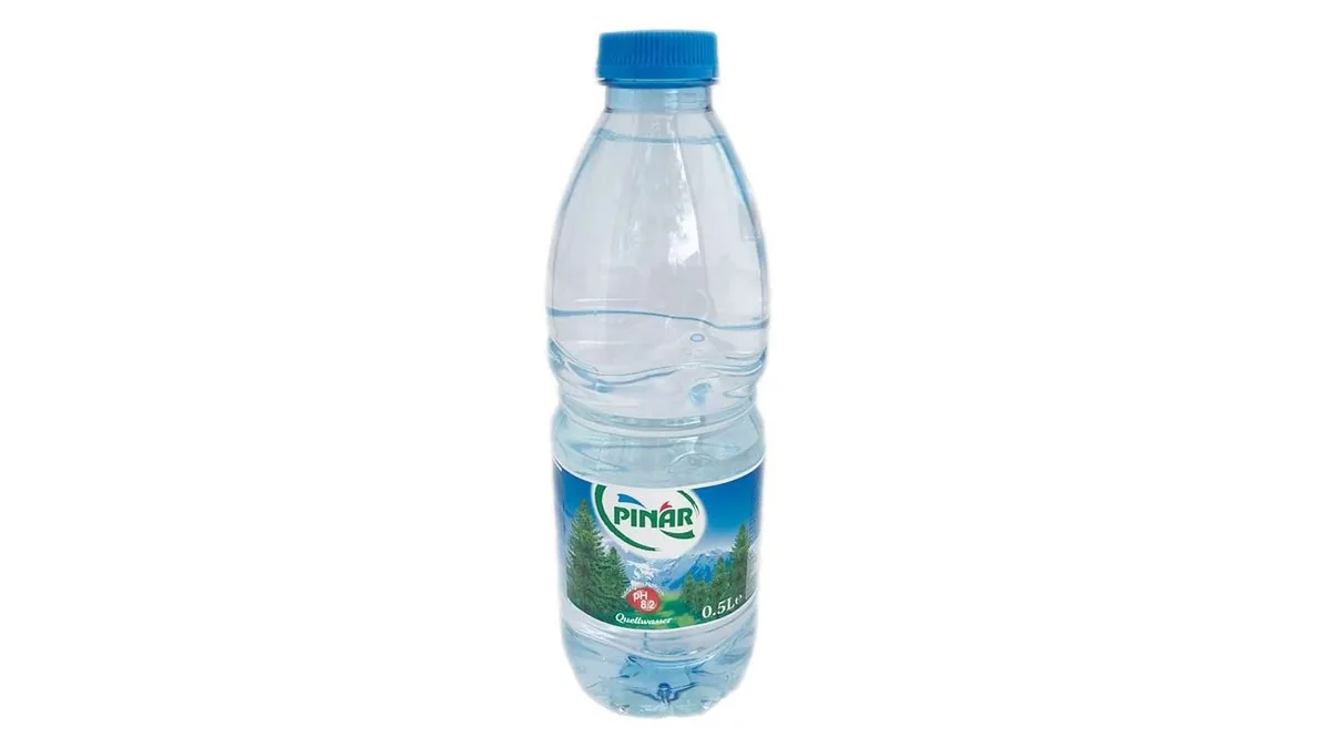 Eine Flasche Pinar Wasser still.